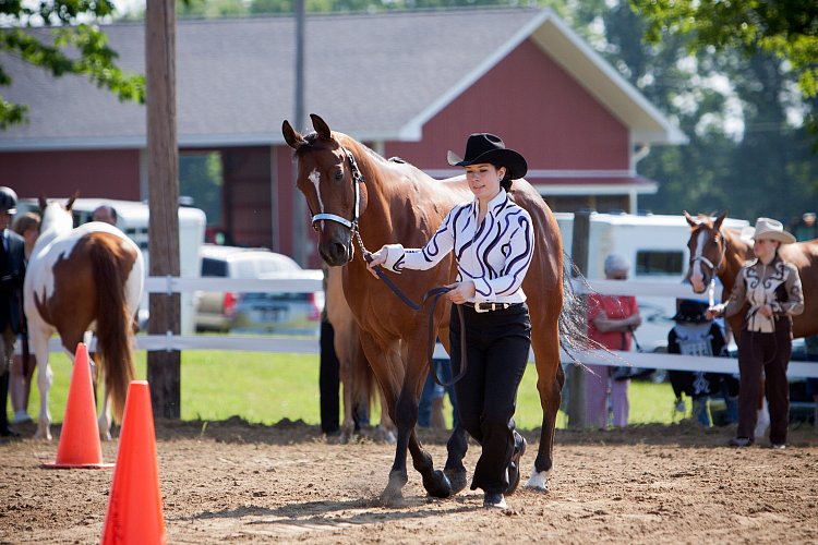 4H-Fun-Show-060912-058.JPG