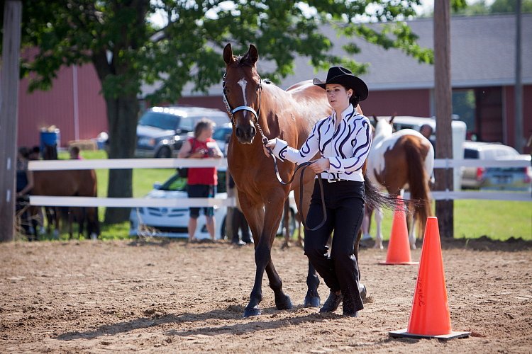 4H-Fun-Show-060912-059.JPG