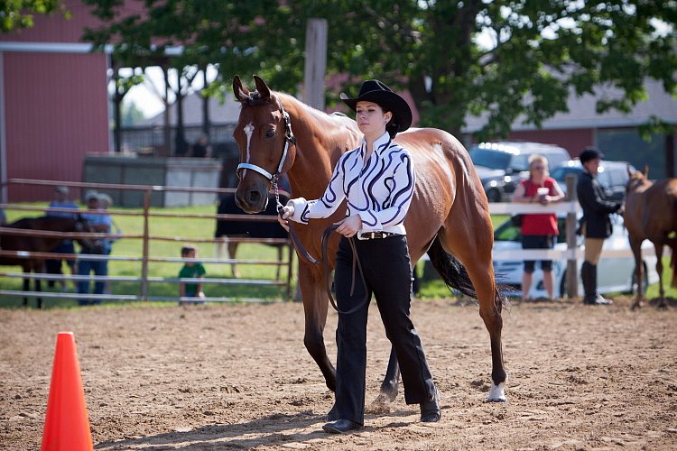 4H-Fun-Show-060912-060.JPG