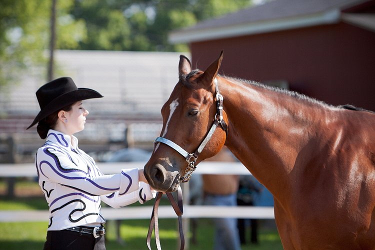 4H-Fun-Show-060912-062.JPG