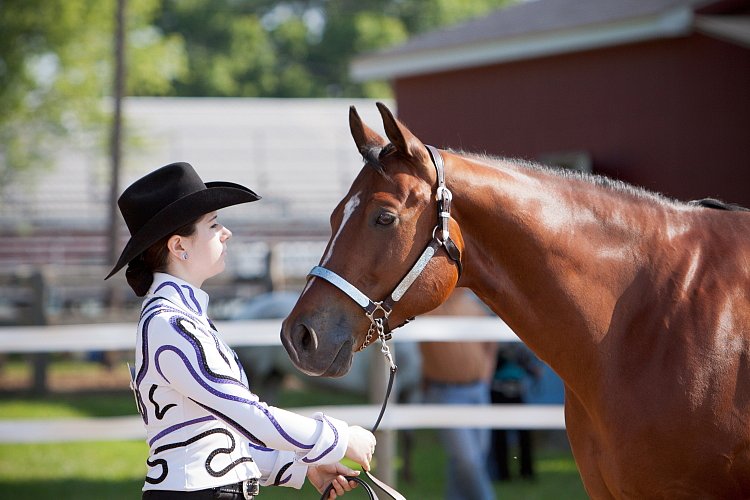 4H-Fun-Show-060912-063.JPG