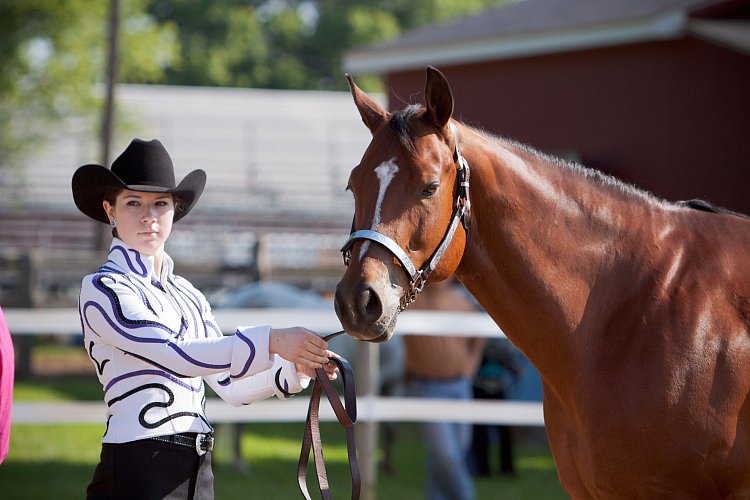 4H-Fun-Show-060912-064.JPG