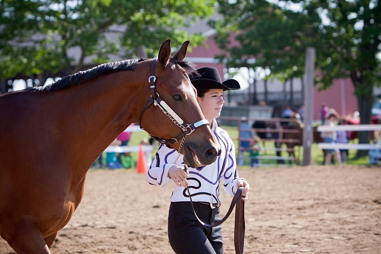 4H-Fun-Show-060912-065.JPG