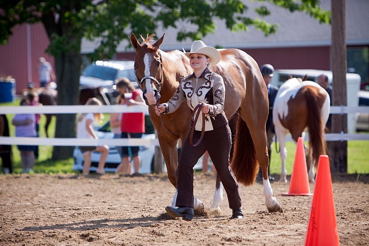 4H-Fun-Show-060912-066.JPG