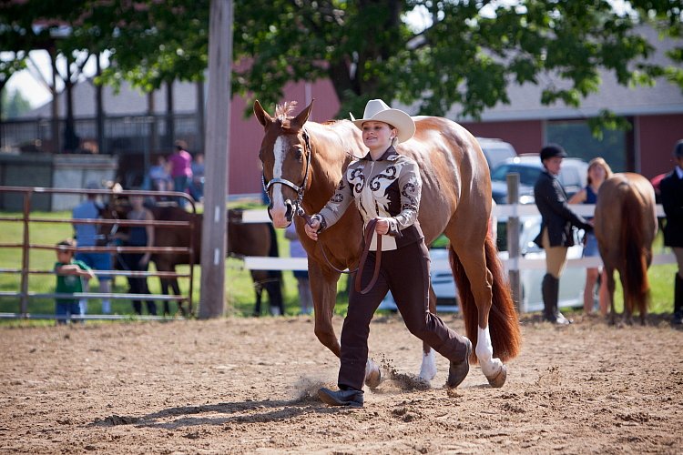 4H-Fun-Show-060912-067.JPG