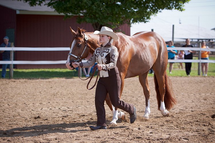 4H-Fun-Show-060912-069.JPG