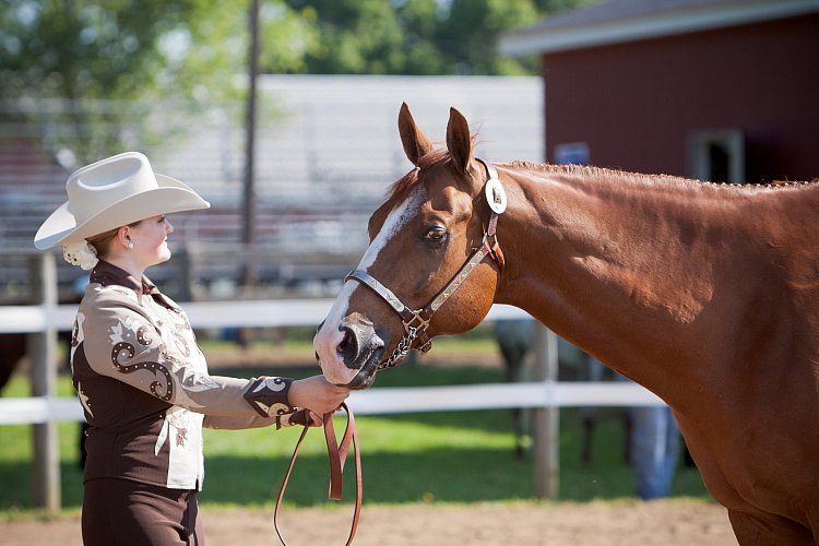 4H-Fun-Show-060912-071.JPG