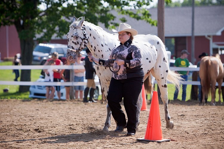 4H-Fun-Show-060912-073.JPG