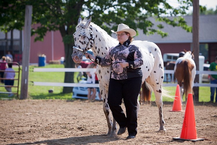 4H-Fun-Show-060912-074.JPG