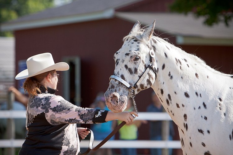 4H-Fun-Show-060912-075.JPG