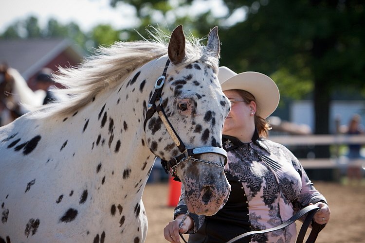 4H-Fun-Show-060912-077.JPG