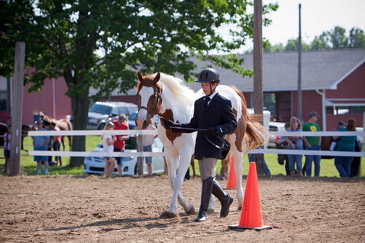 4H-Fun-Show-060912-078.JPG