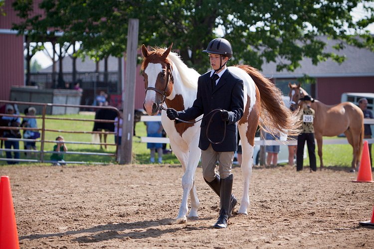 4H-Fun-Show-060912-079.JPG