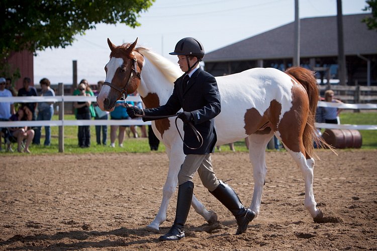 4H-Fun-Show-060912-080.JPG