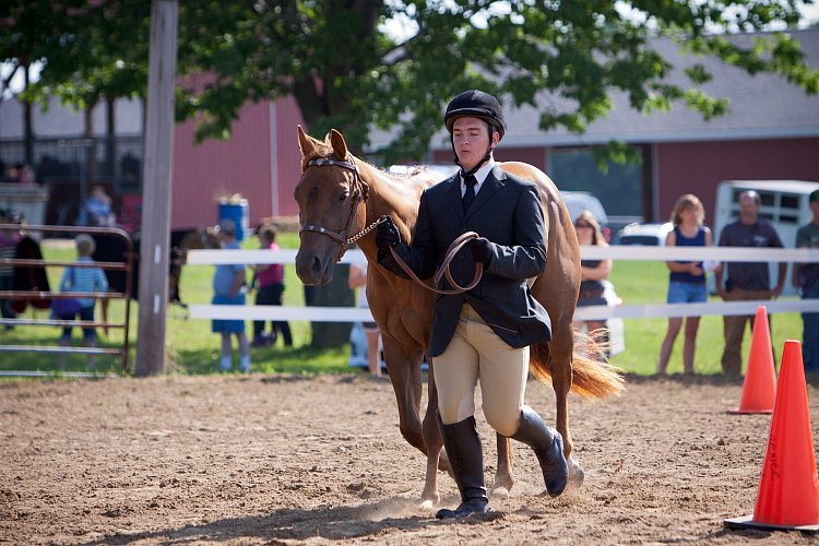 4H-Fun-Show-060912-085.JPG