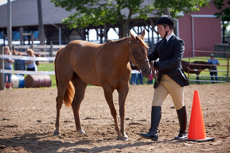 4H-Fun-Show-060912-086.JPG