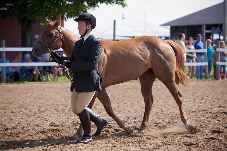 4H-Fun-Show-060912-087.JPG