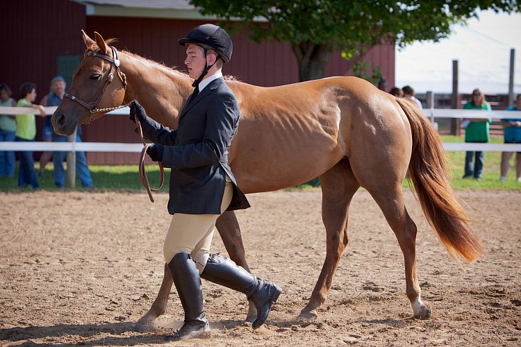 4H-Fun-Show-060912-088.JPG