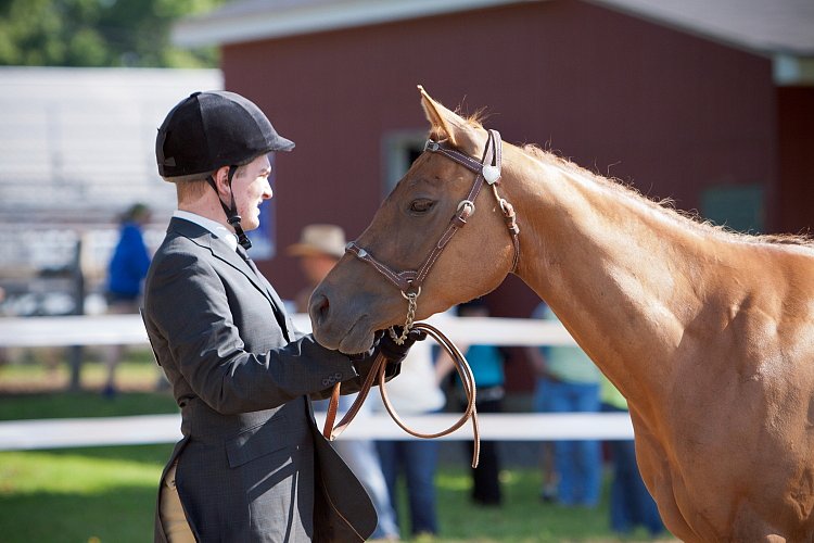 4H-Fun-Show-060912-089.JPG