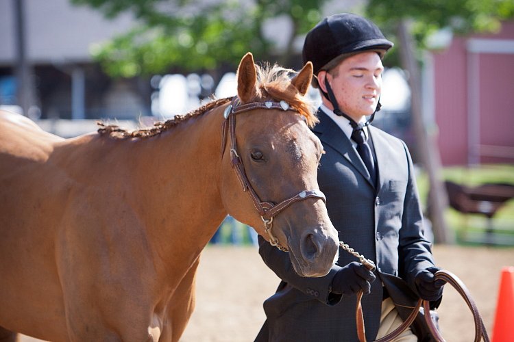 4H-Fun-Show-060912-090.JPG