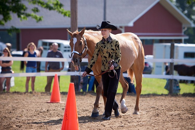 4H-Fun-Show-060912-091.JPG