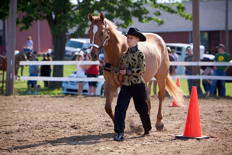 4H-Fun-Show-060912-092.JPG