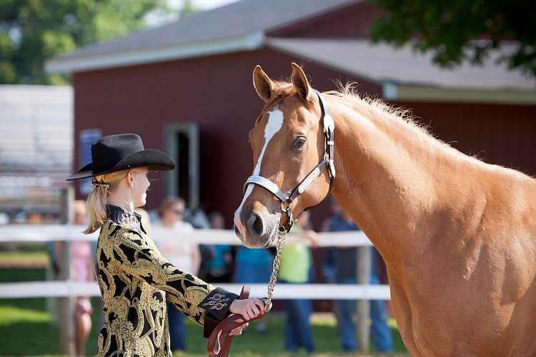 4H-Fun-Show-060912-096.JPG