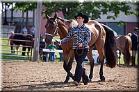 4H-Fun-Show-060912-053.JPG