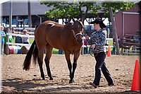 4H-Fun-Show-060912-054.JPG