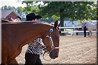 4H-Fun-Show-060912-057.JPG