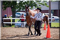 4H-Fun-Show-060912-059.JPG