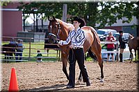 4H-Fun-Show-060912-060.JPG