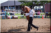 4H-Fun-Show-060912-061.JPG