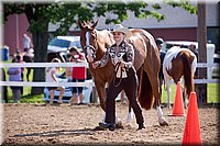 4H-Fun-Show-060912-066.JPG