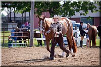 4H-Fun-Show-060912-067.JPG