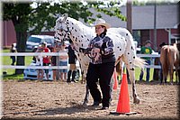 4H-Fun-Show-060912-073.JPG