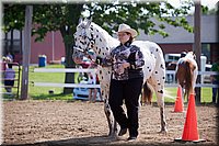 4H-Fun-Show-060912-074.JPG