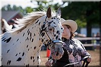 4H-Fun-Show-060912-077.JPG