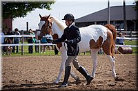 4H-Fun-Show-060912-080.JPG