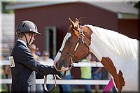 4H-Fun-Show-060912-081.JPG