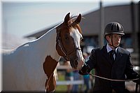 4H-Fun-Show-060912-083.JPG