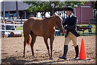 4H-Fun-Show-060912-086.JPG