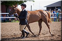 4H-Fun-Show-060912-087.JPG