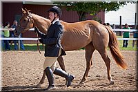 4H-Fun-Show-060912-088.JPG