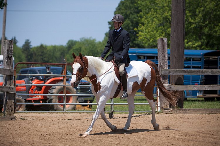 4H-Fun-Show-060912-498.JPG