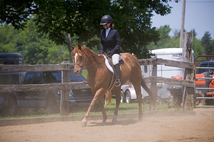 4H-Fun-Show-060912-503.JPG