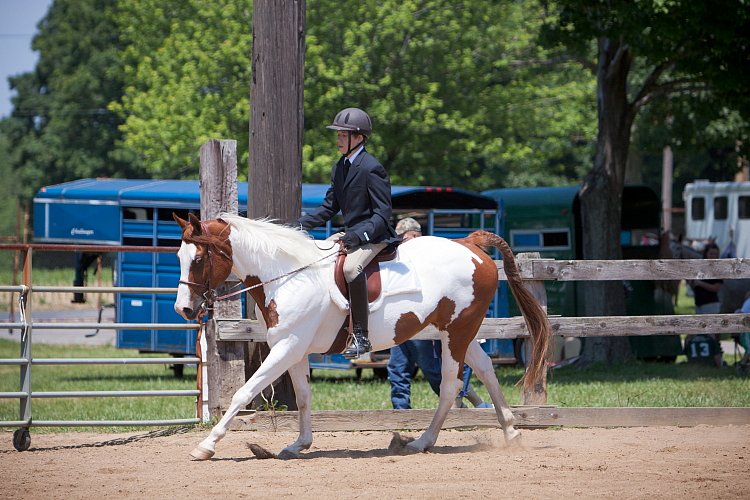 4H-Fun-Show-060912-509.JPG