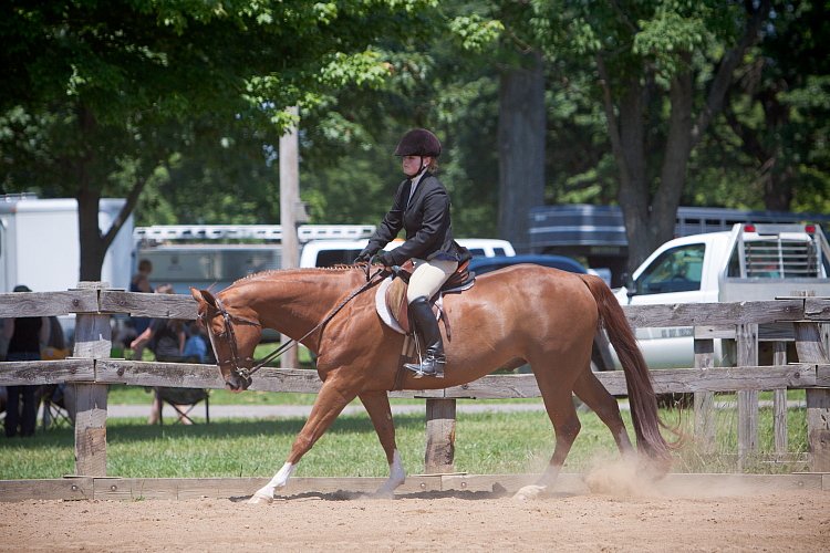 4H-Fun-Show-060912-511.JPG