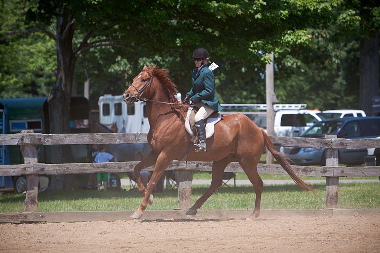 4H-Fun-Show-060912-514.JPG