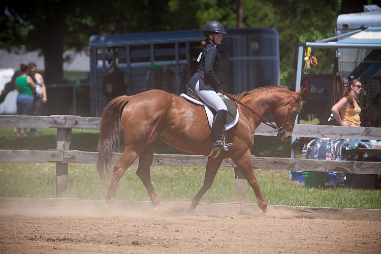 4H-Fun-Show-060912-515.JPG